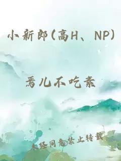 小新郎(高H、NP)